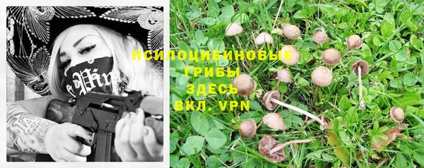 героин Верея