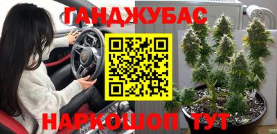 мдма Кингисепп