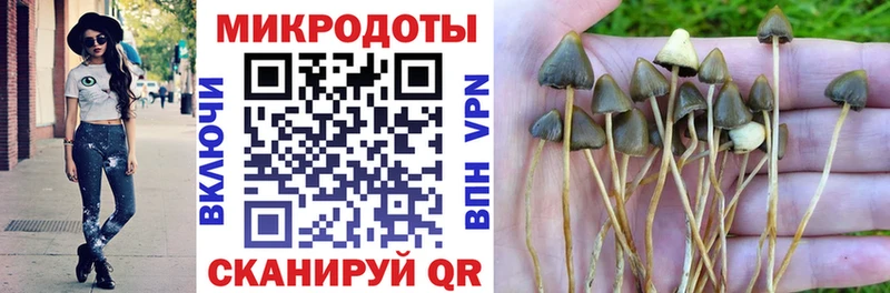 Псилоцибиновые грибы мухоморы  Тольятти 