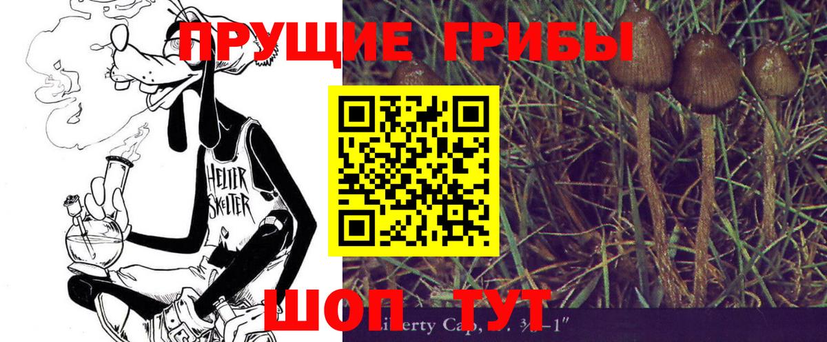 Тольятти  Галлюциногенные грибы MAGIC MUSHROOMS  Вход с VPN 