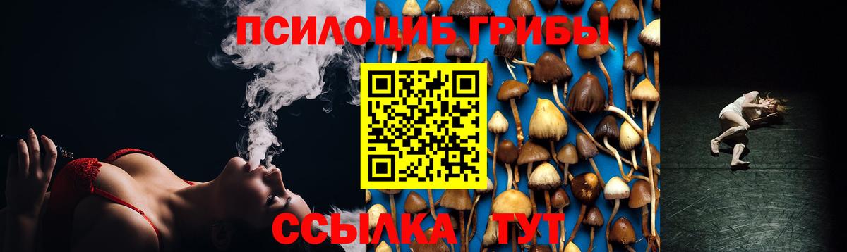 Галлюциногенные грибы Psilocybe Тольятти